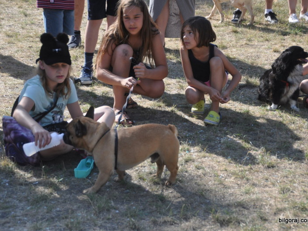 Animal Party (FOTO)