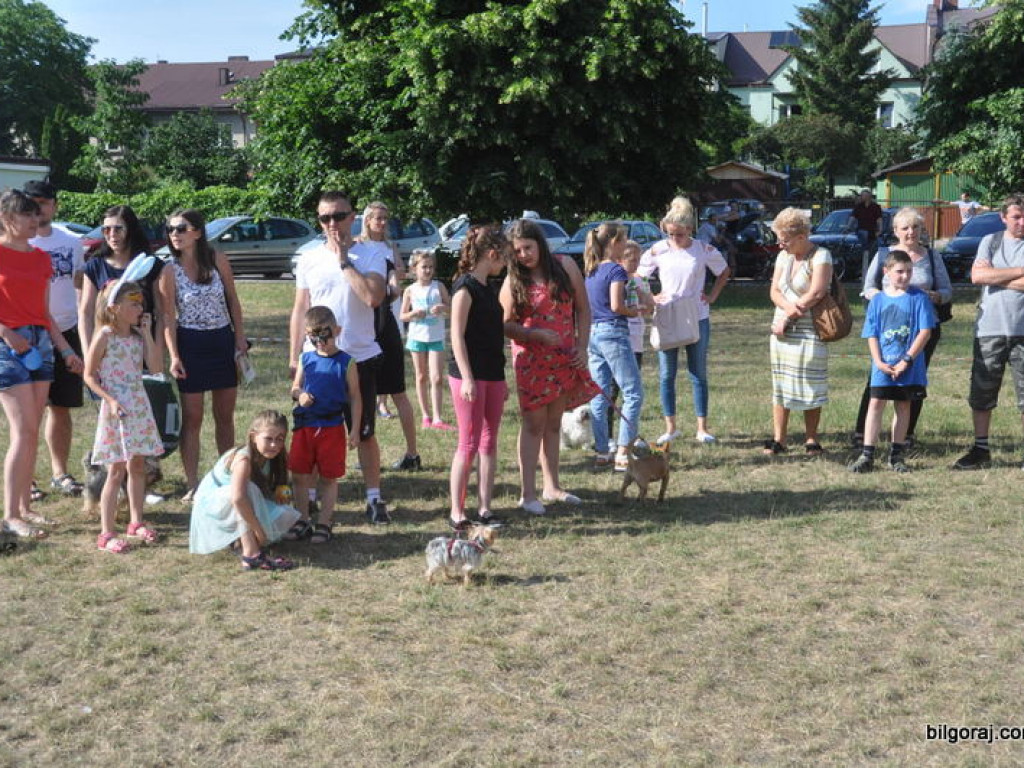Animal Party (FOTO)