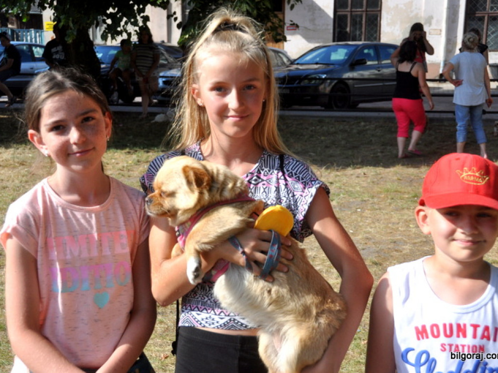 Animal Party (FOTO)
