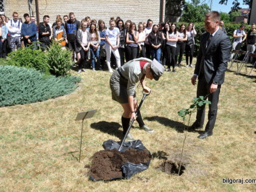 Dąb Niepodległości posadzono przy ZSZiO (FOTO)