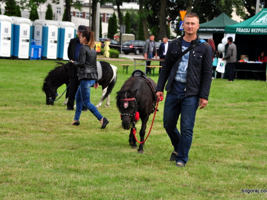Agro - piknik w Obszy (FOTO)