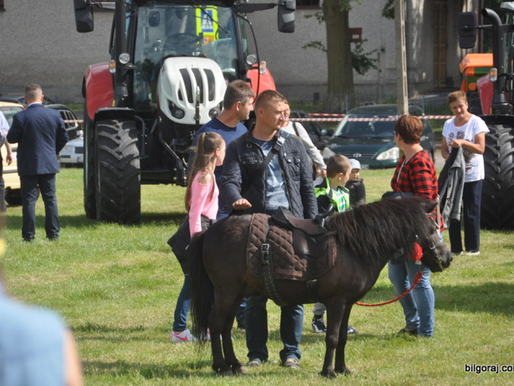 Agro - piknik w Obszy (FOTO)