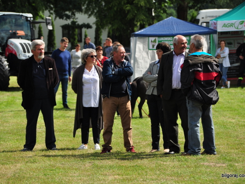 Agro - piknik w Obszy (FOTO)
