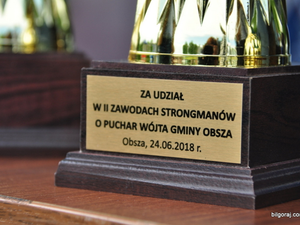 Agro - piknik w Obszy (FOTO)
