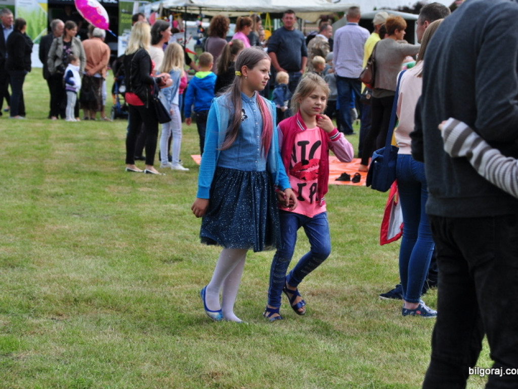 Agro - piknik w Obszy (FOTO)
