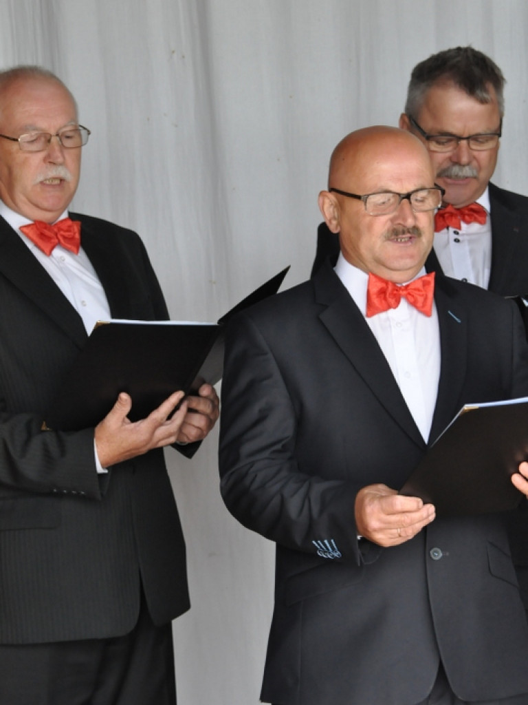 Pieśni partyzanckie na polanie w Aleksandrowie (FOTO, WYNIKI)