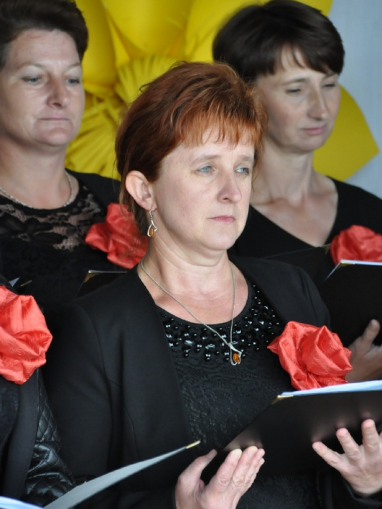 Pieśni partyzanckie na polanie w Aleksandrowie (FOTO, WYNIKI)