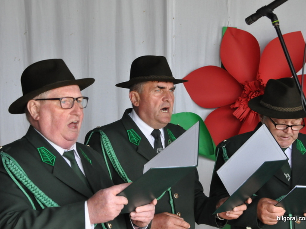 Pieśni partyzanckie na polanie w Aleksandrowie (FOTO, WYNIKI)