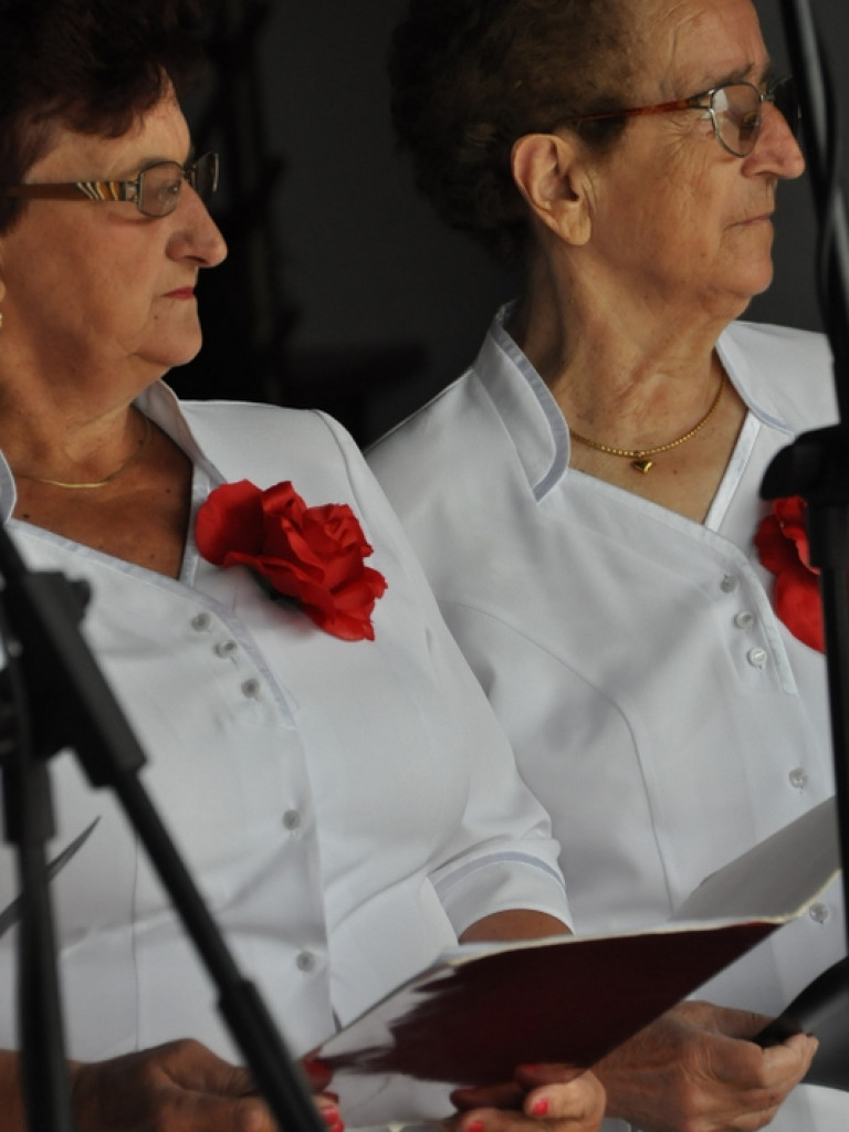 Pieśni partyzanckie na polanie w Aleksandrowie (FOTO, WYNIKI)