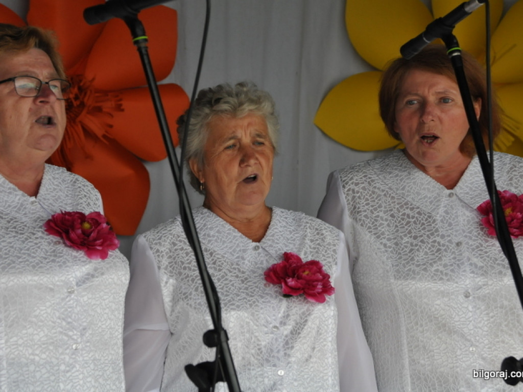 Pieśni partyzanckie na polanie w Aleksandrowie (FOTO, WYNIKI)