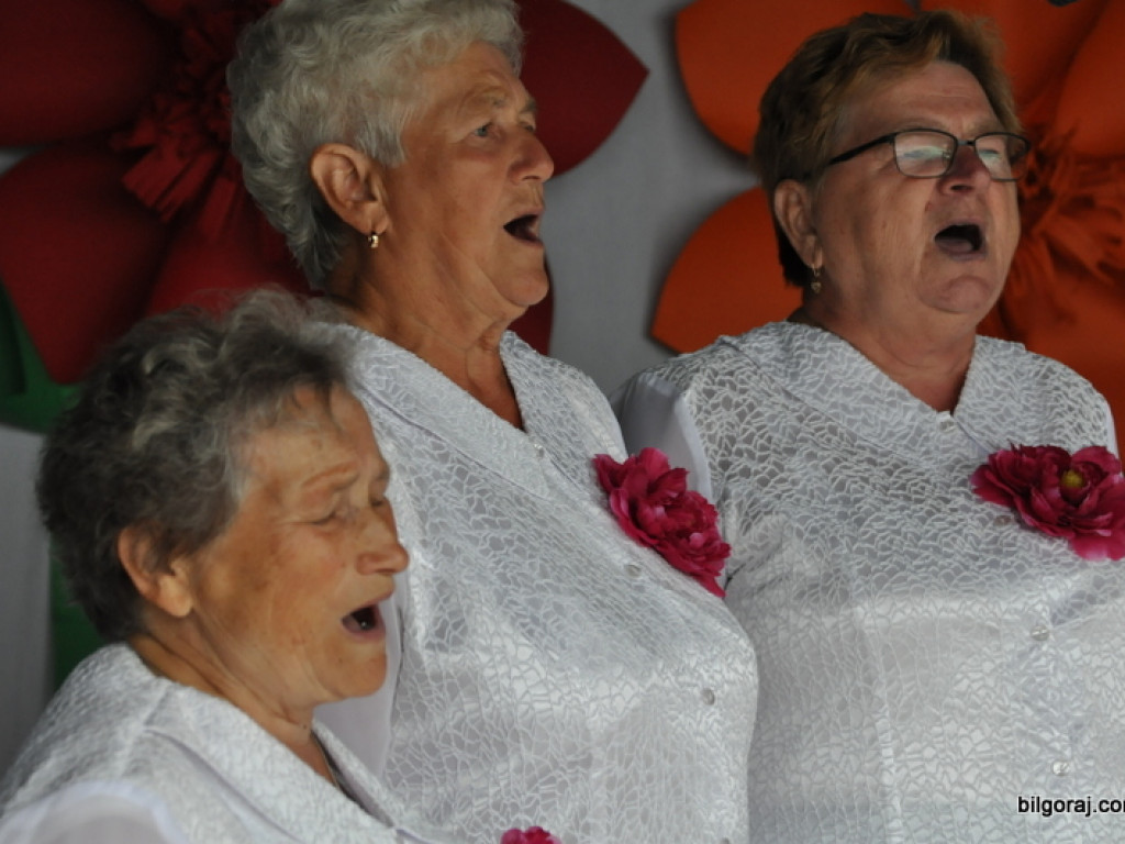 Pieśni partyzanckie na polanie w Aleksandrowie (FOTO, WYNIKI)
