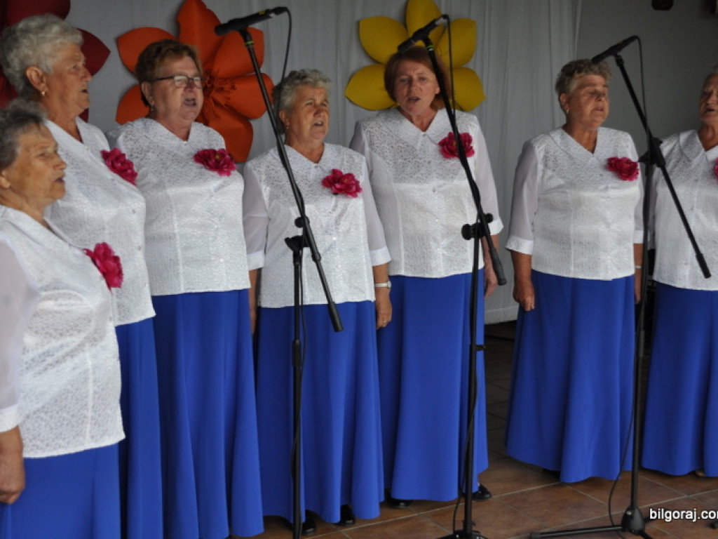 Pieśni partyzanckie na polanie w Aleksandrowie (FOTO, WYNIKI)