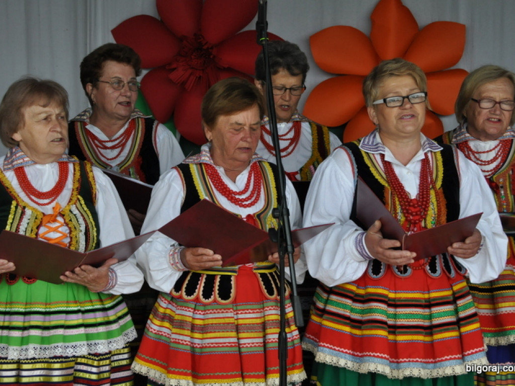 Pieśni partyzanckie na polanie w Aleksandrowie (FOTO, WYNIKI)