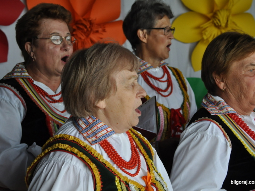 Pieśni partyzanckie na polanie w Aleksandrowie (FOTO, WYNIKI)