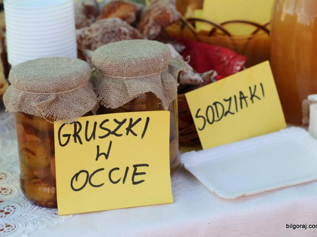 Turniej miejscowości Gminy Frampol (FOTO, VIDEO, WYNIKI)