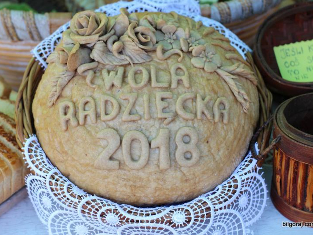 Turniej miejscowości Gminy Frampol (FOTO, VIDEO, WYNIKI)