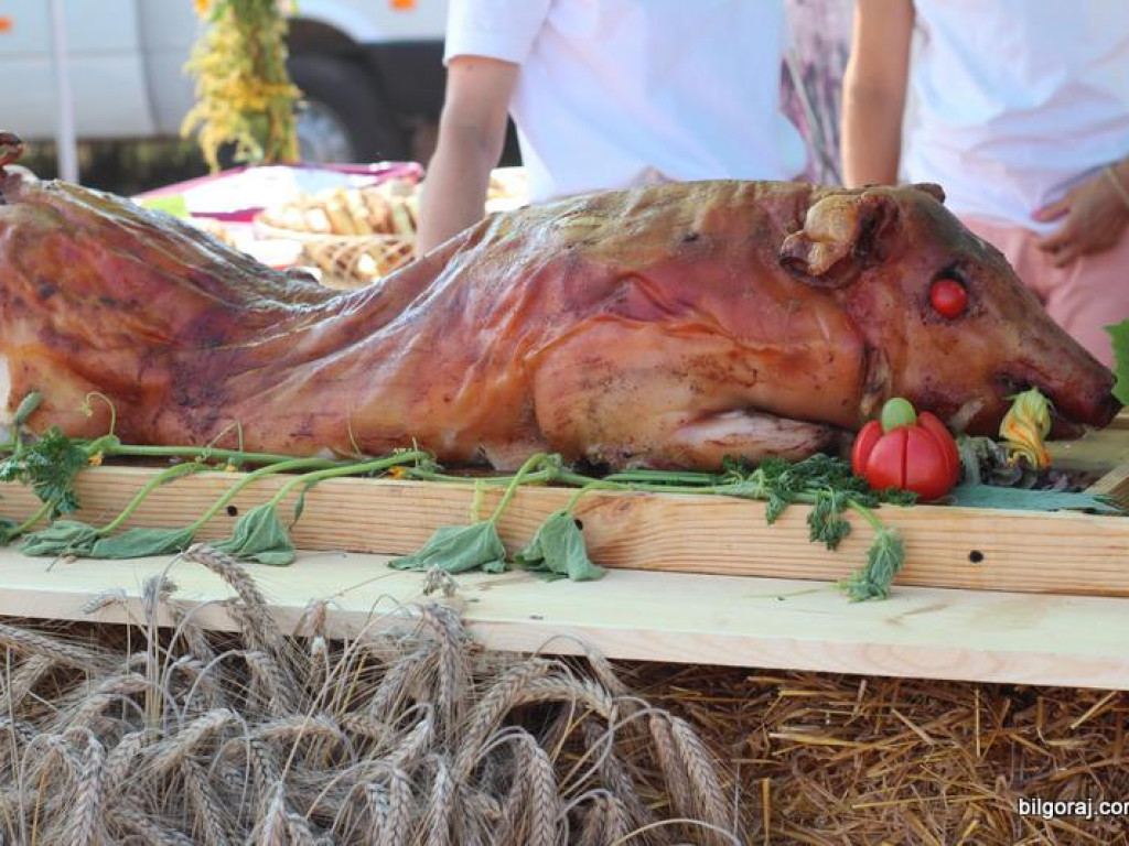 Turniej miejscowości Gminy Frampol (FOTO, VIDEO, WYNIKI)
