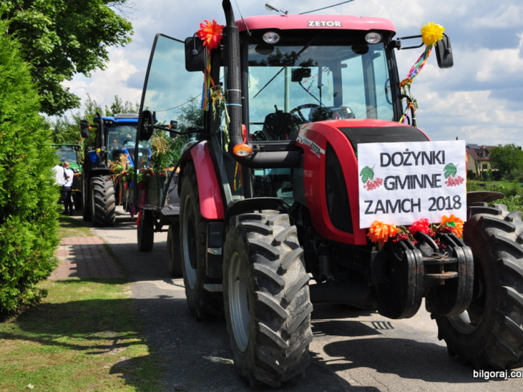Dożynki w Obszy (FOTO)