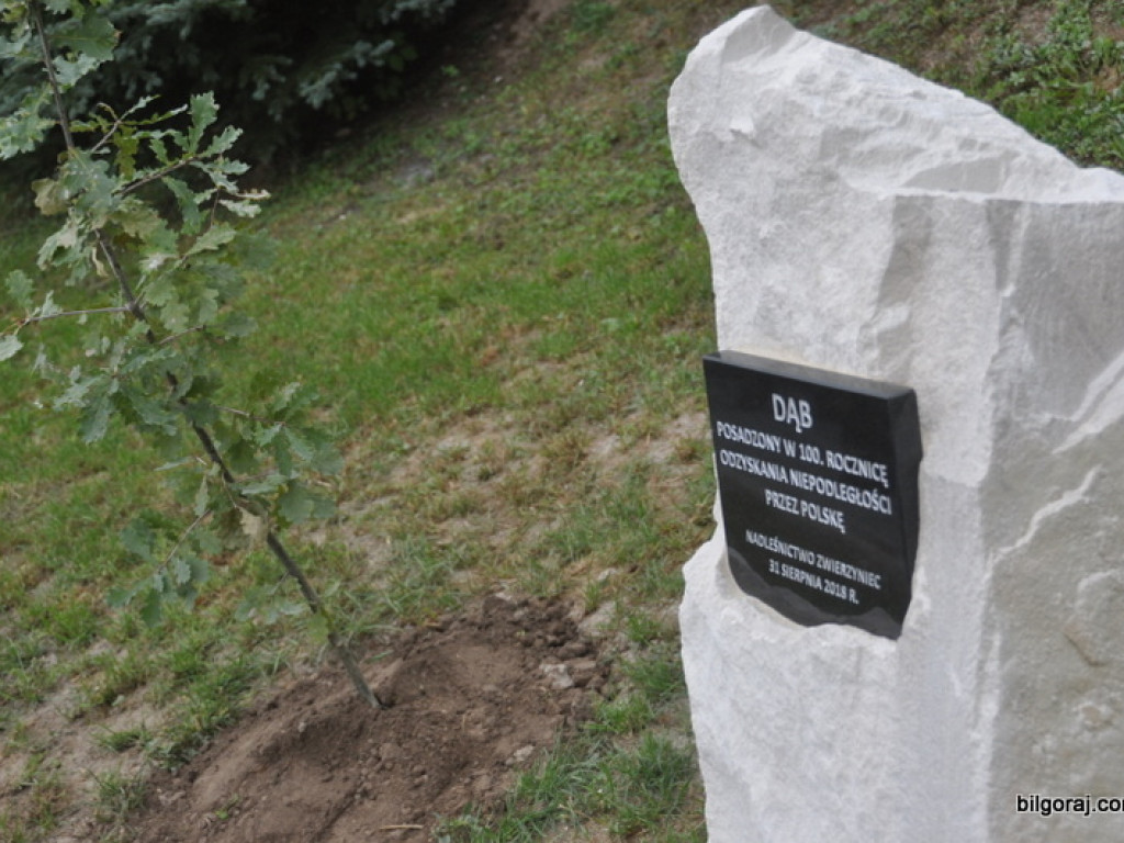 Kancelaria Leśnictwa Smolnik otwarta (FOTO)