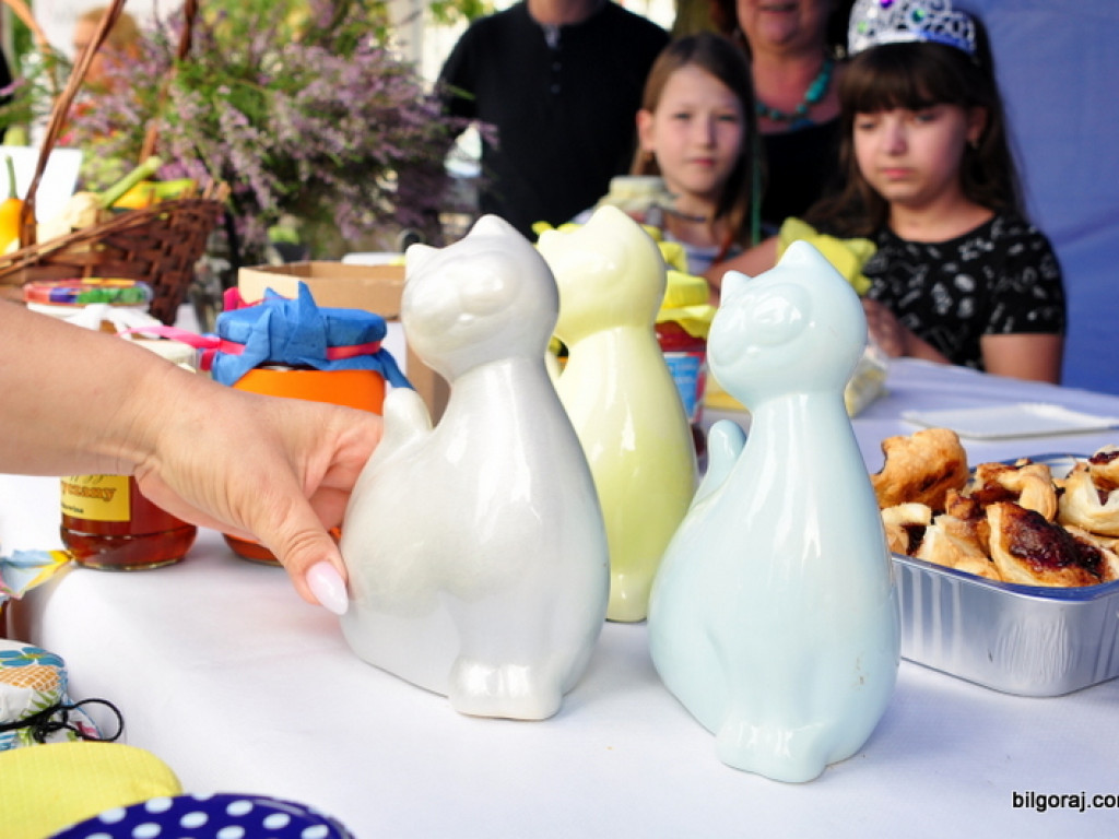 Smacznie i charytatywnie, czyli II Biłgorajski Festiwal Smaków  (FOTO)