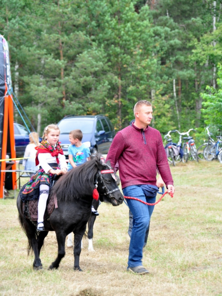 Patriotyczny piknik rodzinny w Dąbrowicy (FOTO)