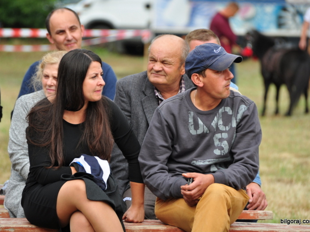Patriotyczny piknik rodzinny w Dąbrowicy (FOTO)