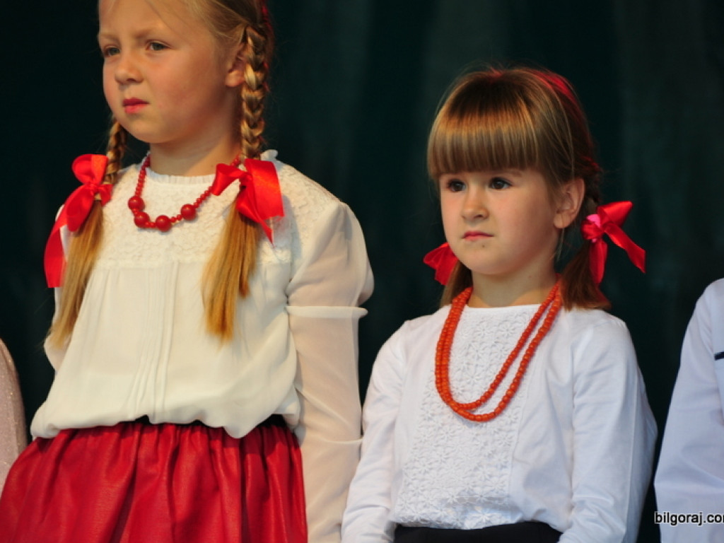 Patriotyczny piknik rodzinny w Dąbrowicy (FOTO)