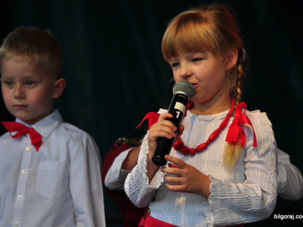 Patriotyczny piknik rodzinny w Dąbrowicy (FOTO)