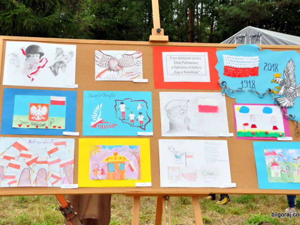 Patriotyczny piknik rodzinny w Dąbrowicy (FOTO)