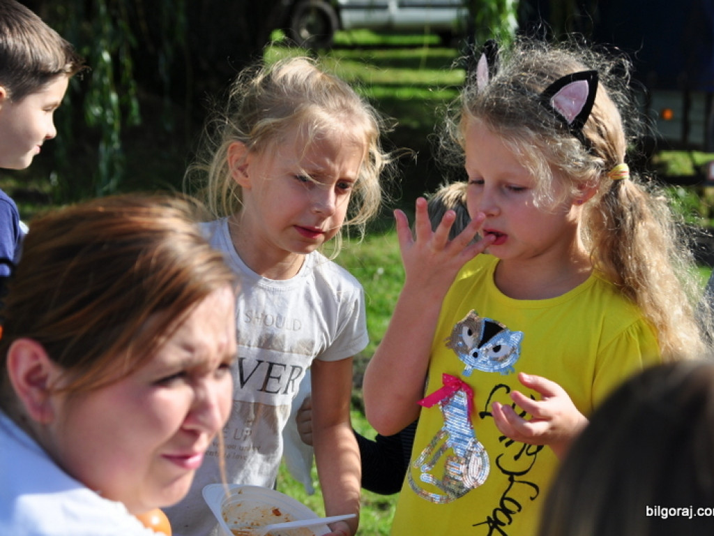 Wykopki (FOTO)