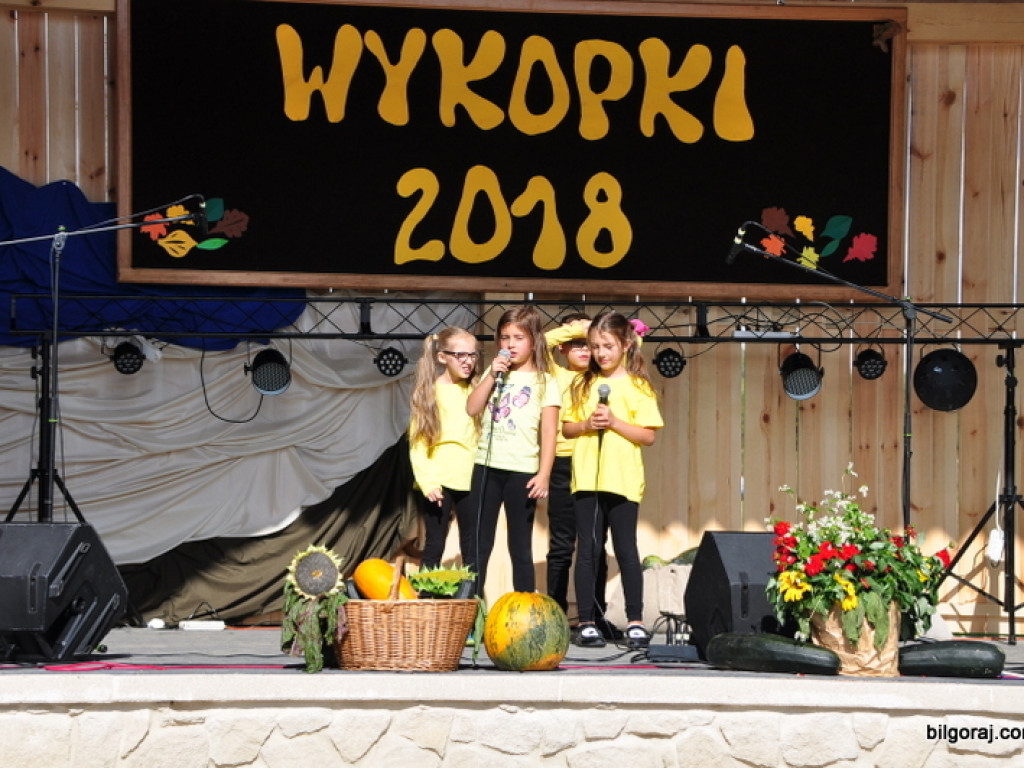 Wykopki (FOTO)