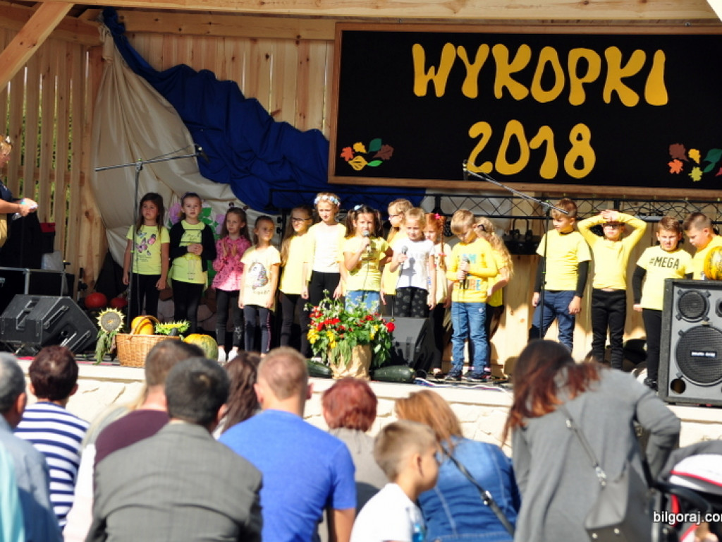 Wykopki (FOTO)