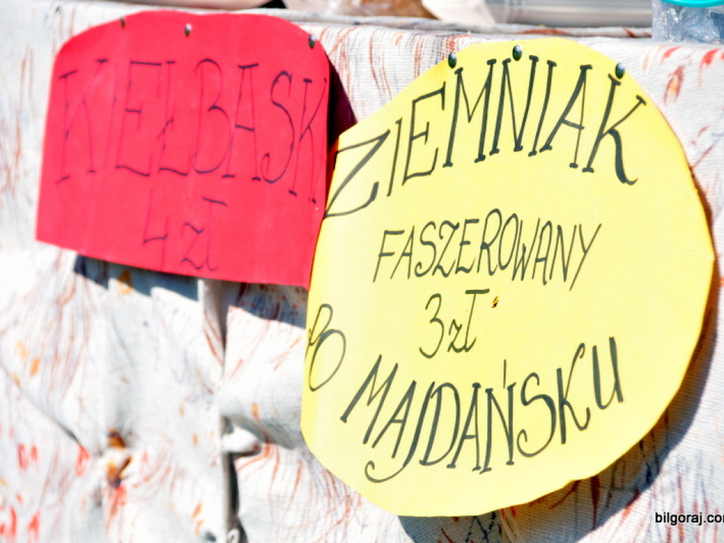 Wykopki (FOTO)