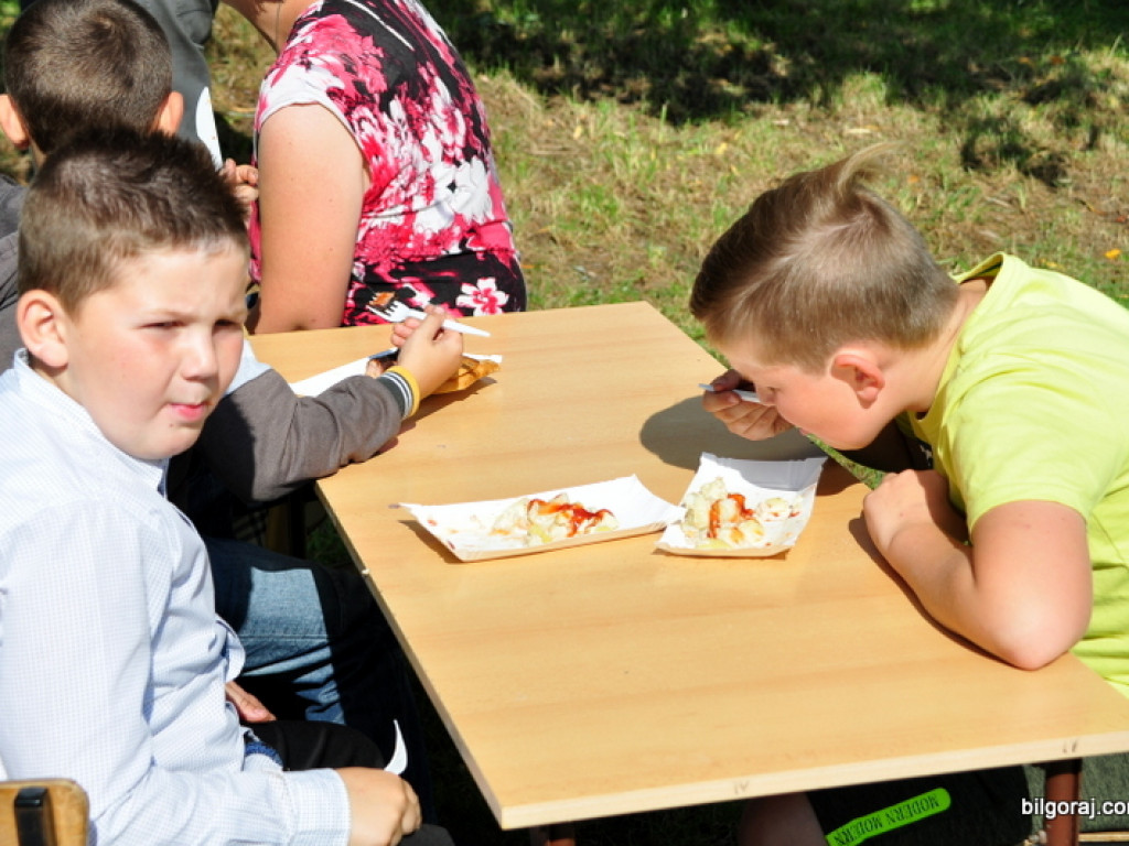 Wykopki (FOTO)