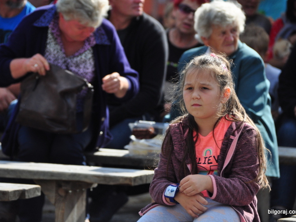 Wykopki (FOTO)