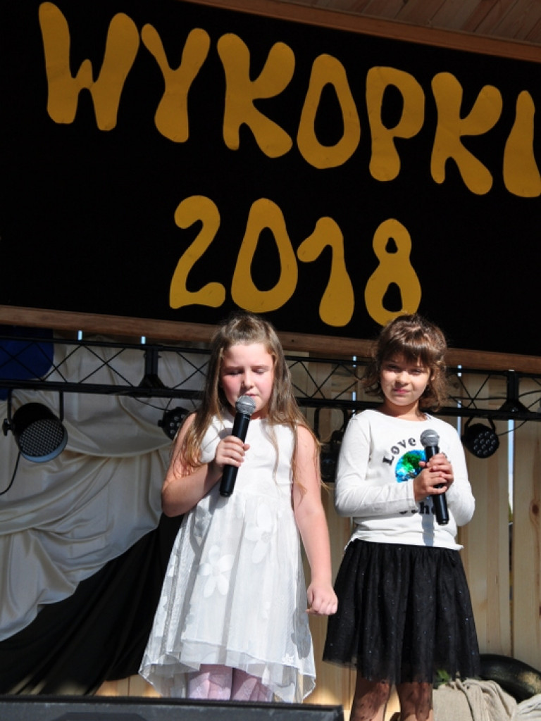 Wykopki (FOTO)