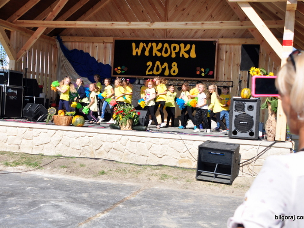 Wykopki (FOTO)