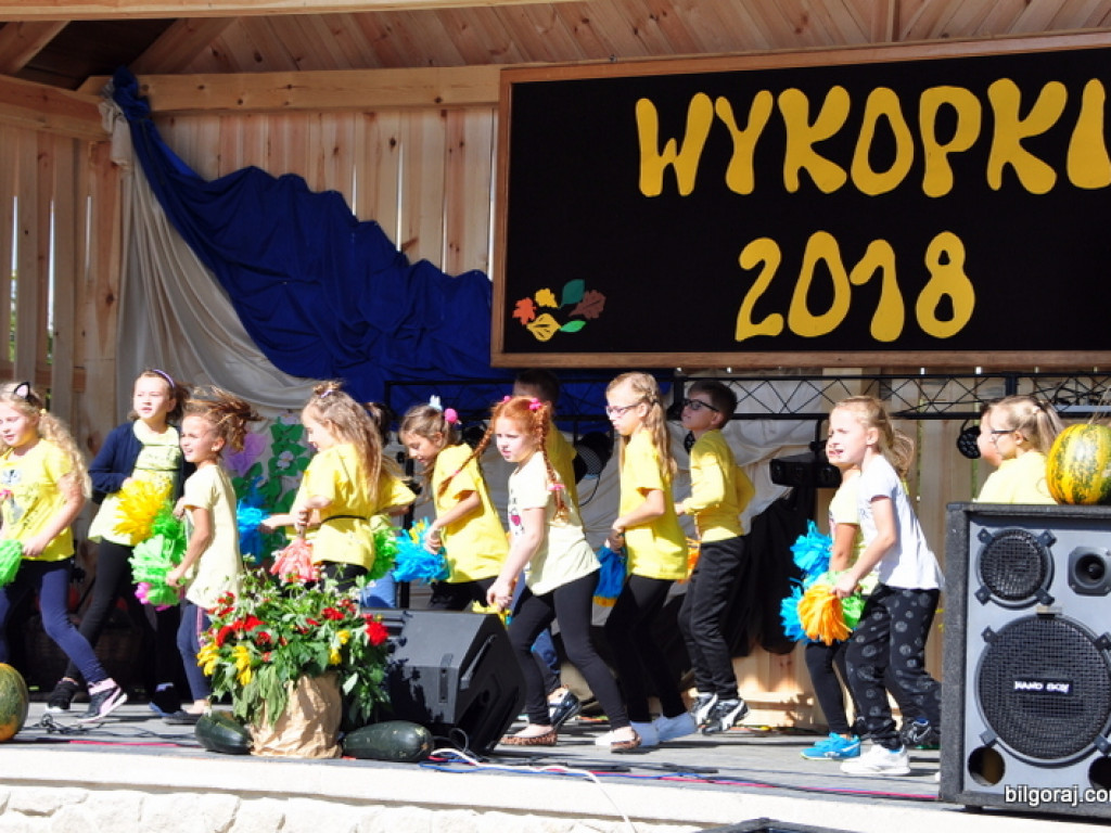 Wykopki (FOTO)