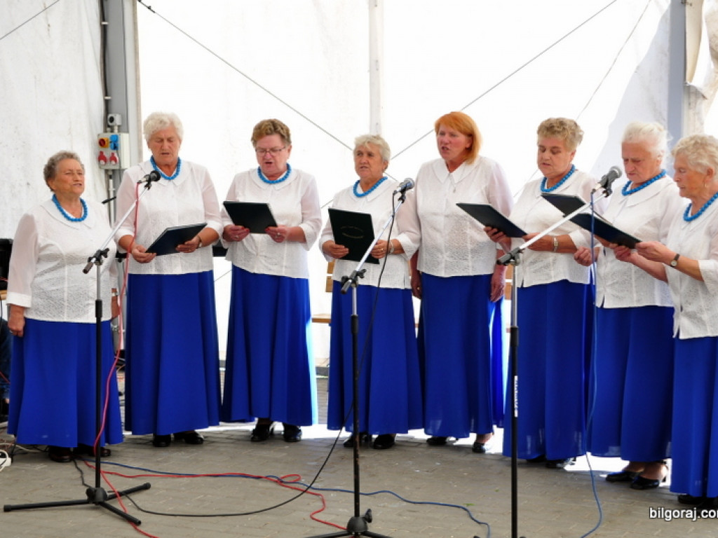 79 Rocznica Walk Wrześniowych pod Aleksandrowem (FOTO)