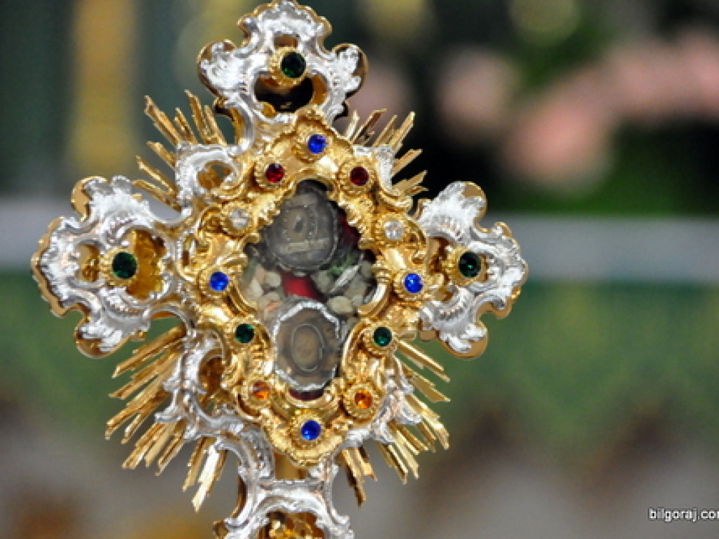 Duch świętego Franciszka znów zawitał do Puszczy Solskiej (FOTO)