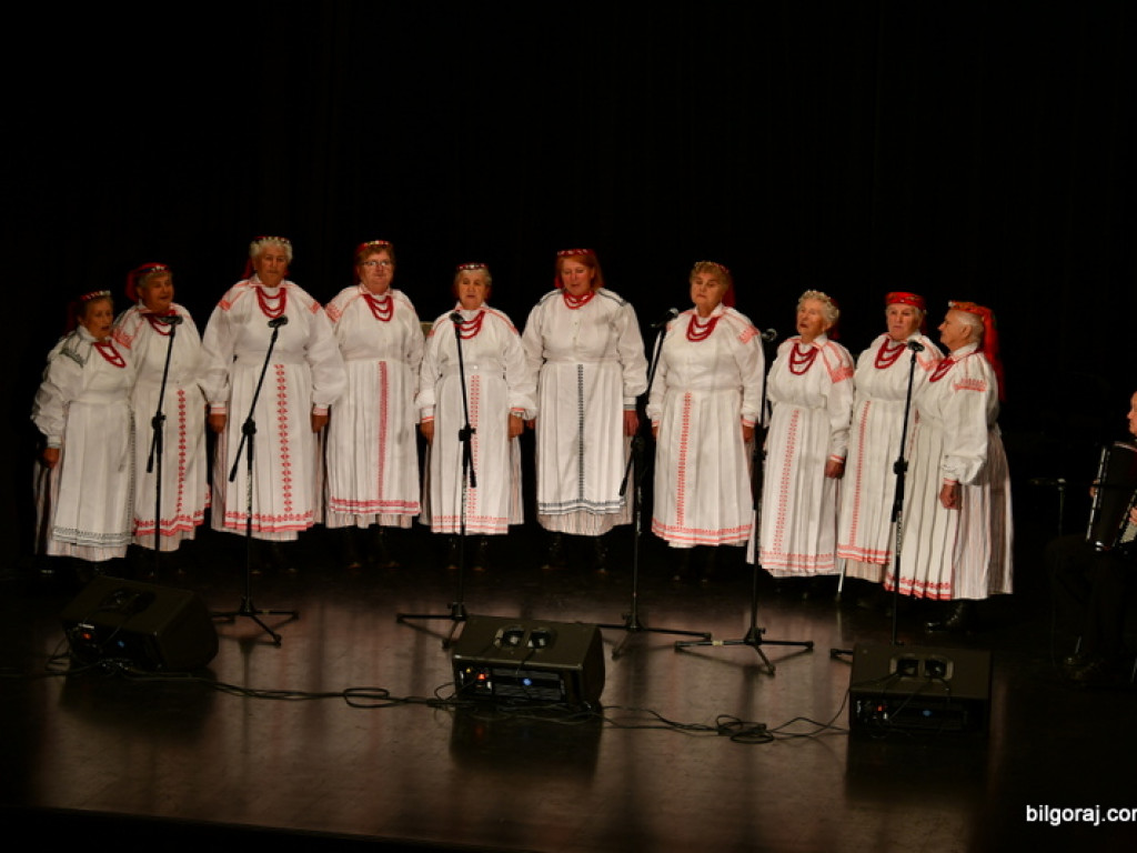 Ludowe pieśni rozbrziały w Biłgoraju (FOTO, VIDEO, WYNIKI)