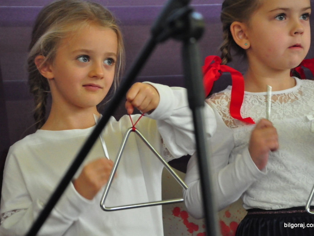 Rekordowy XVII Dzień Jesiennego Liścia (FOTO, VIDEO)
