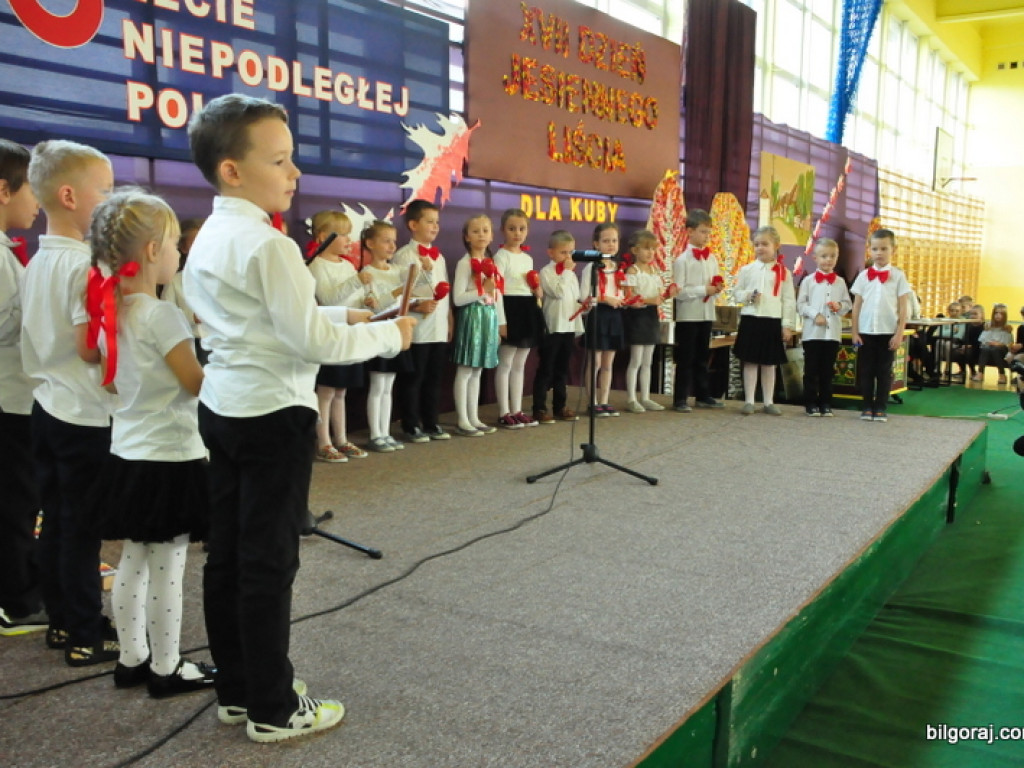 Rekordowy XVII Dzień Jesiennego Liścia (FOTO, VIDEO)