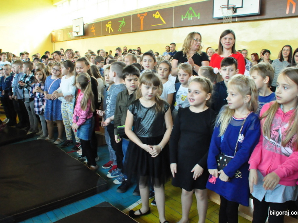 Rekordowy XVII Dzień Jesiennego Liścia (FOTO, VIDEO)