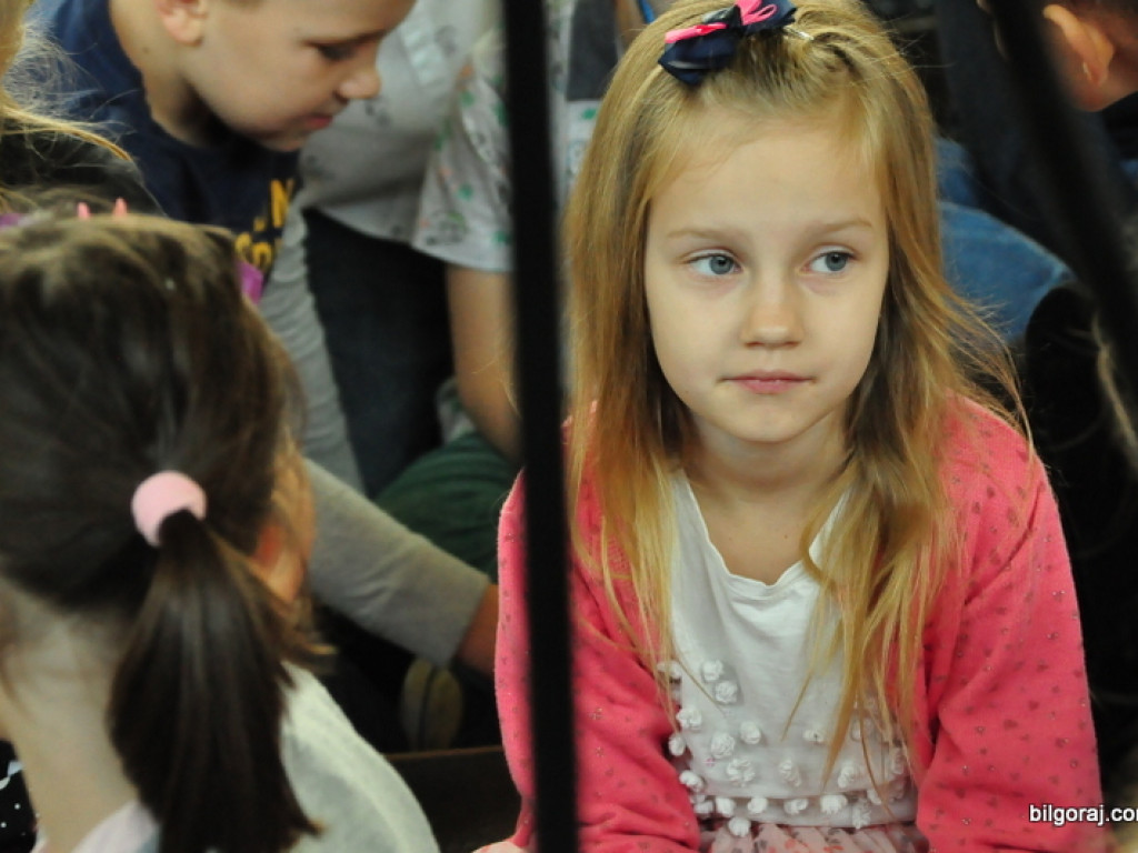 Rekordowy XVII Dzień Jesiennego Liścia (FOTO, VIDEO)