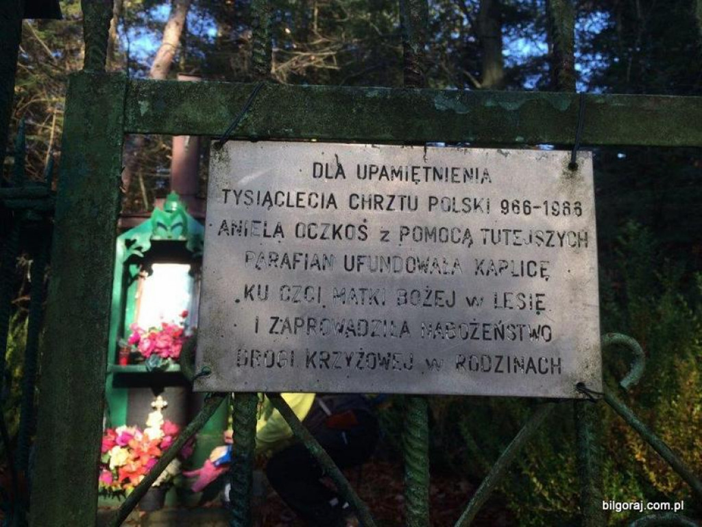 Rajd niepodległości (FOTO)