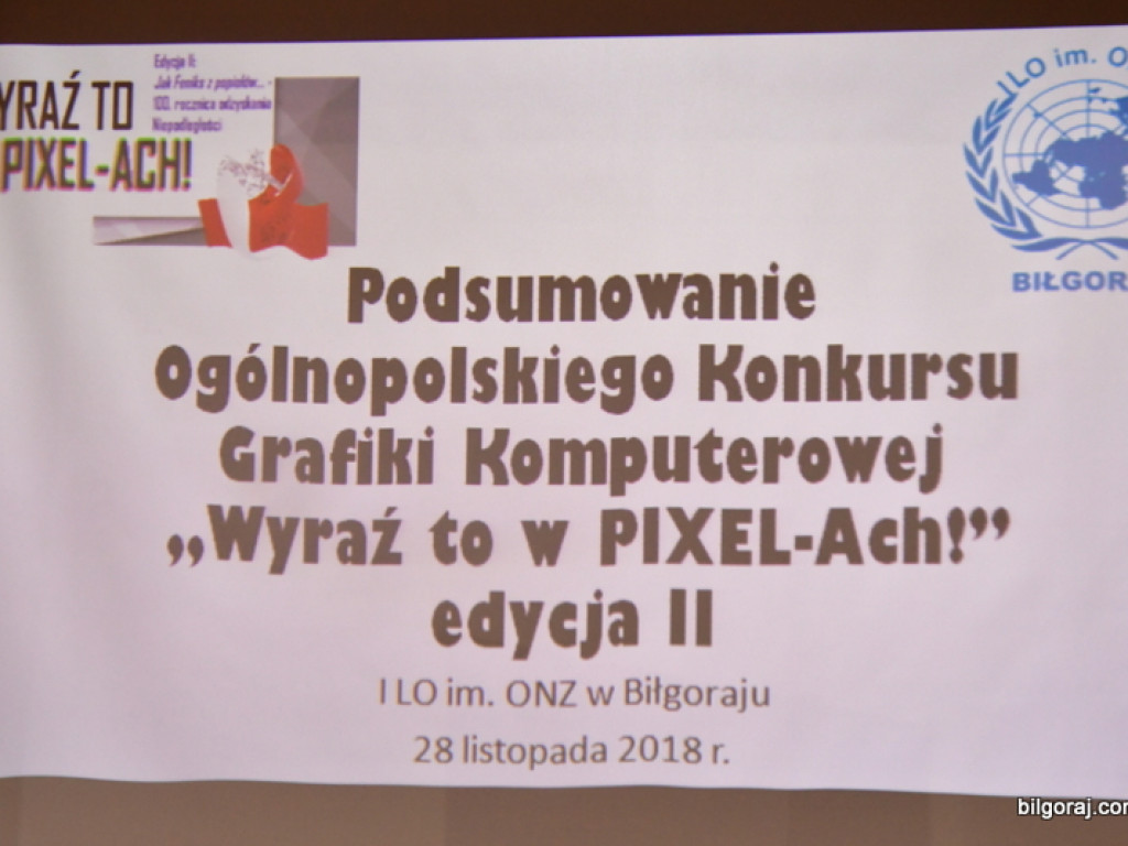 Niepodległość wyrażona w pikselach (FOTO)