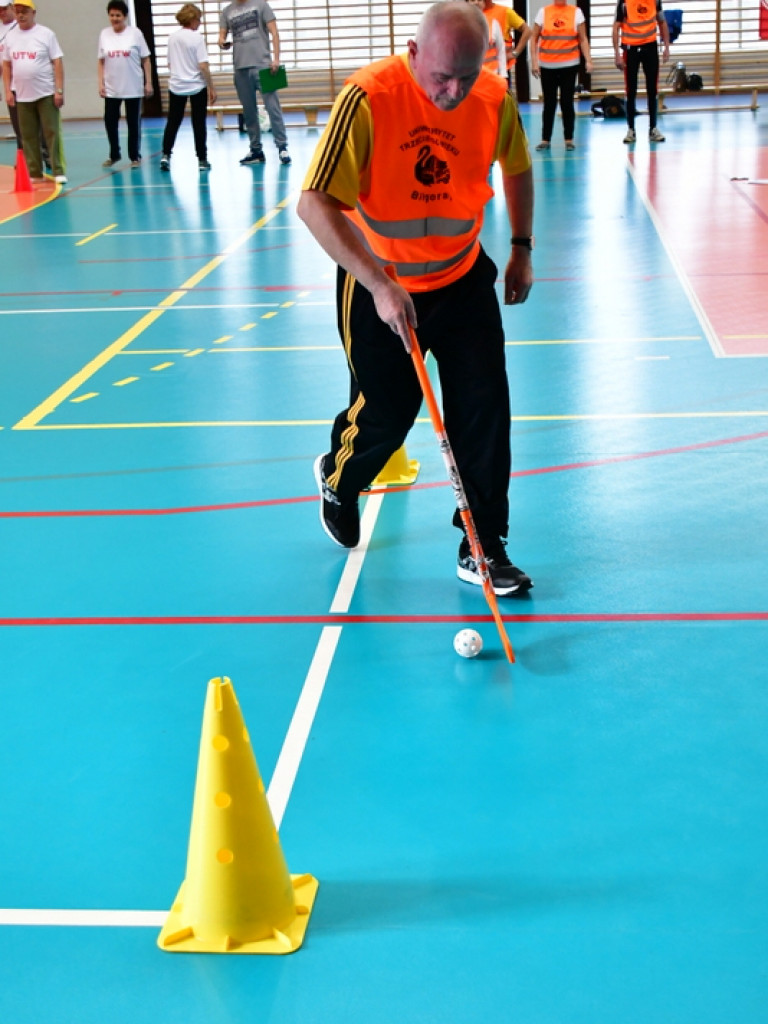IV Biłgorajska Senioriada Sportowa (FOTO)