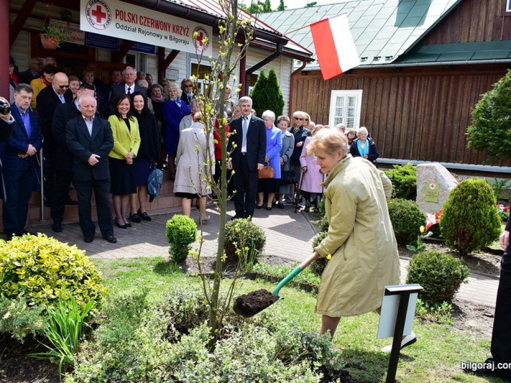 100-lecie Oddziału Rejonowego Polskiego Czerwonego Krzyża w Biłgoraju (FOTO)