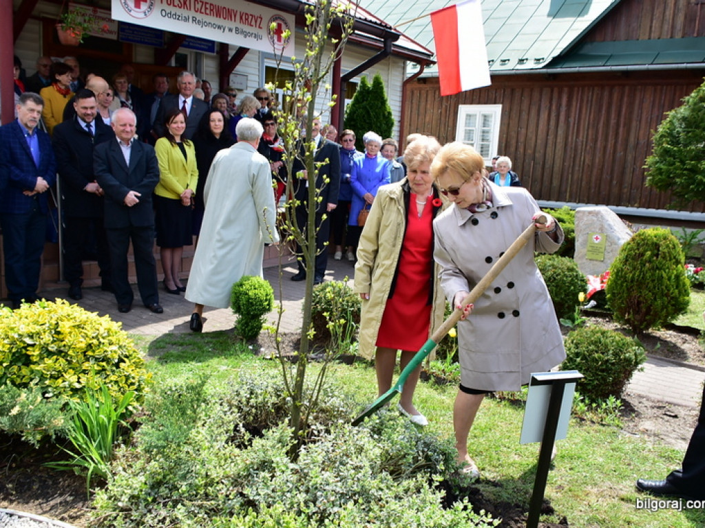 100-lecie Oddziału Rejonowego Polskiego Czerwonego Krzyża w Biłgoraju (FOTO)